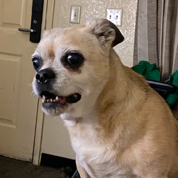 I ACCEPT REASONABLE OFFERS! - Picture 2 of 3